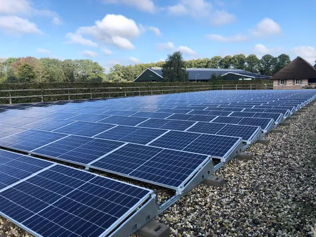 Zonneveld in Rijssen