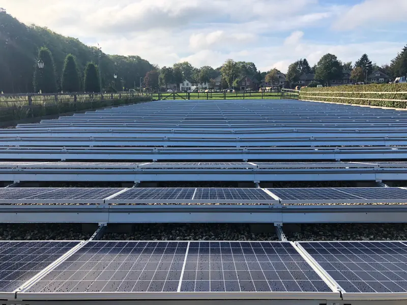 Zonneveld in Rijssen – foto 2