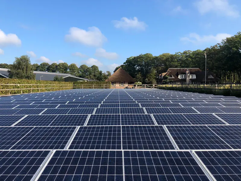 Zonneveld in Rijssen – foto 3